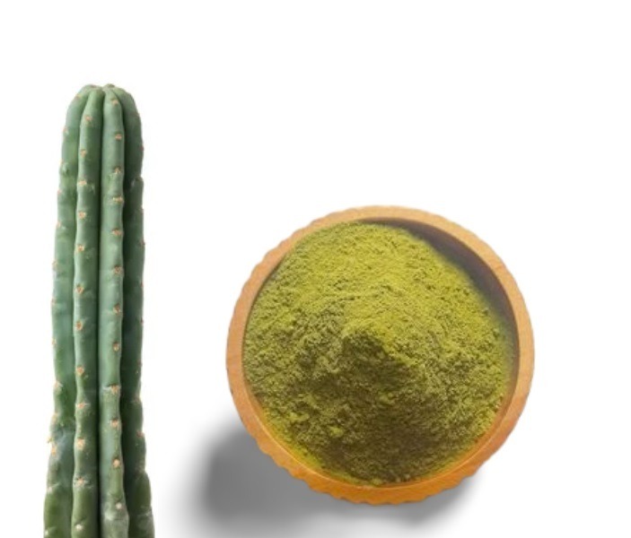 Cactus san pedro for sale - powder