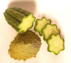 San Pedro Powder (400 g – 14.10 oz) 100% Natural