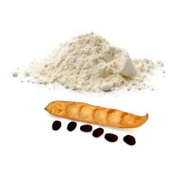 Tara Gum Powder  (400 g – 14.10 oz) – 100% Natural